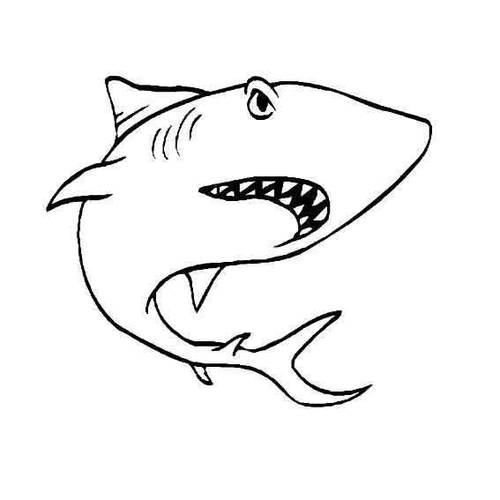 简笔画鲨鱼 幼儿园简笔画鲨鱼