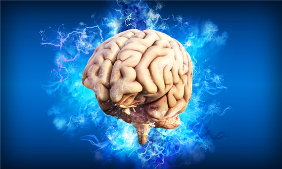男人靠下半身思考有据可依研究发现大脑与睾丸十分相似