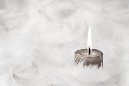 一支灰色燃烧的蜡烛,白色的背景上有羽毛.照片