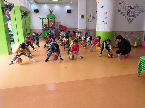 朝阳幼儿园——大二班《体智能篮球课》