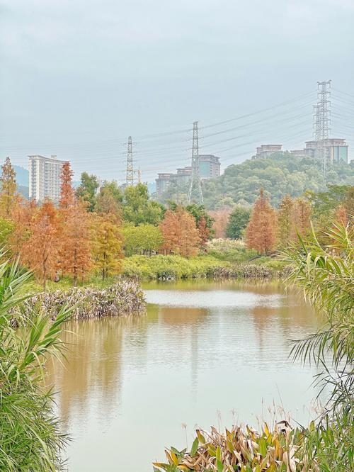 广州天河大观湿地公园