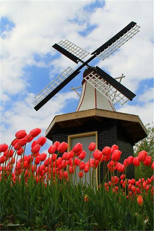 人们常把荷兰称为"风车之国"