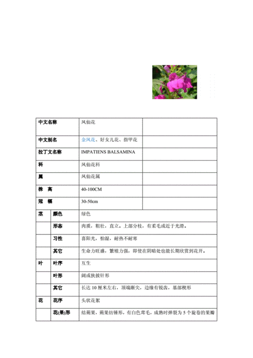 草本花卉观测记载表.doc 14页
