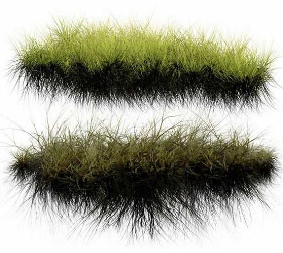 水生植物素材-水草png格式 weeds ps素材,总共11张-ps素材库-设计e周