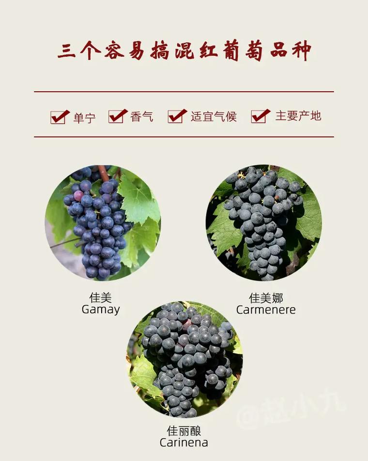 这三个葡萄品种,由于名 - 抖音