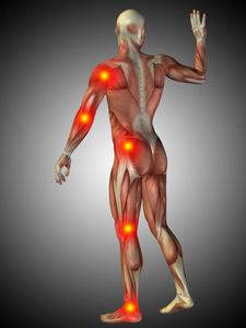 人体解剖学与痛苦迹象人髋关节与红色突出的股骨或大腿骨痛区-x 射线