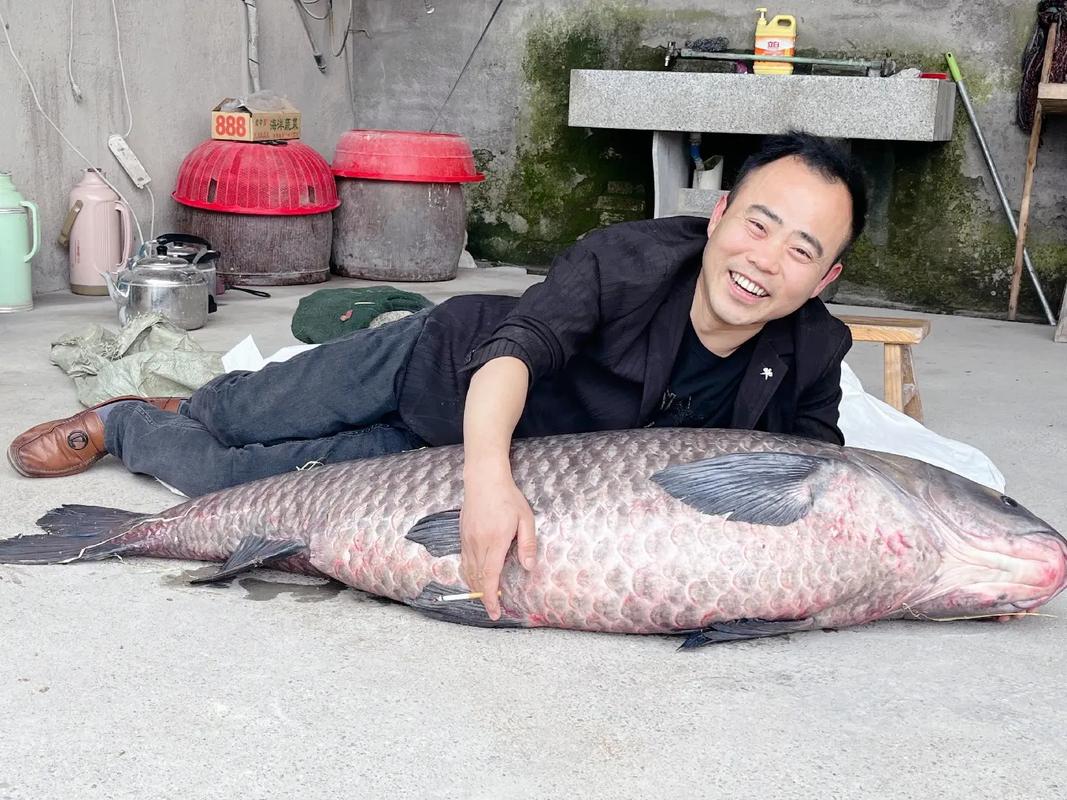 大青鱼,#青鱼石,鱼重量在最后一张照片里!#青阳县悦龍湾汤 - 抖音