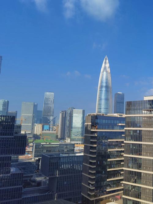 深圳豪宅丨深圳湾最顶级的公寓产品
