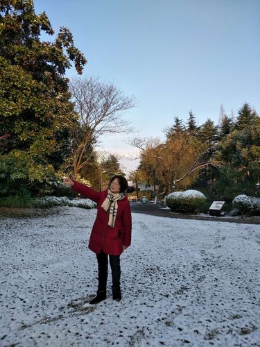 12月31日最后一天的雪景和2019年元旦留念《沙州公园合唱团》 - 美篇