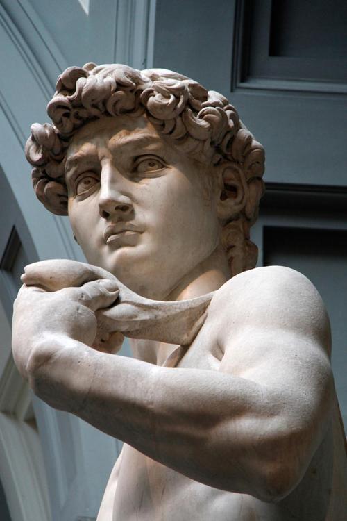 大卫·,米开朗基罗,弗洛伦斯,雕塑,意大利,大理石,身体
