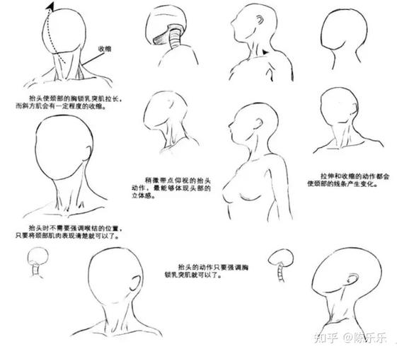 动漫人物颈部怎么画动漫人物身体部位绘画教程