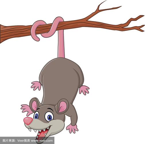 卡通有趣的负鼠在树枝上