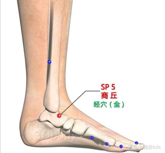 kds 宽带山 定位:在踝区,内踝前下方,舟骨粗隆与内踝尖连线中点凹陷中