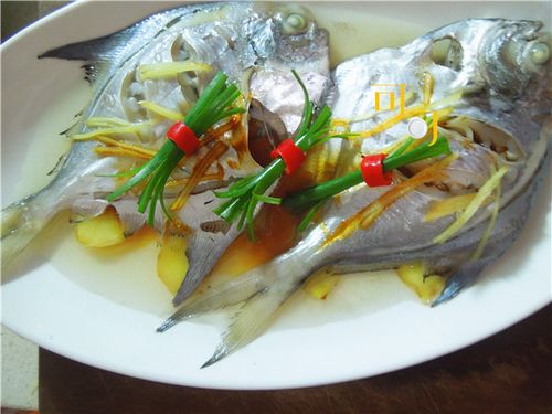 原汁原味的清蒸鲳鱼,做法很简单,味道很鲜美,东海海鲜吃不够
