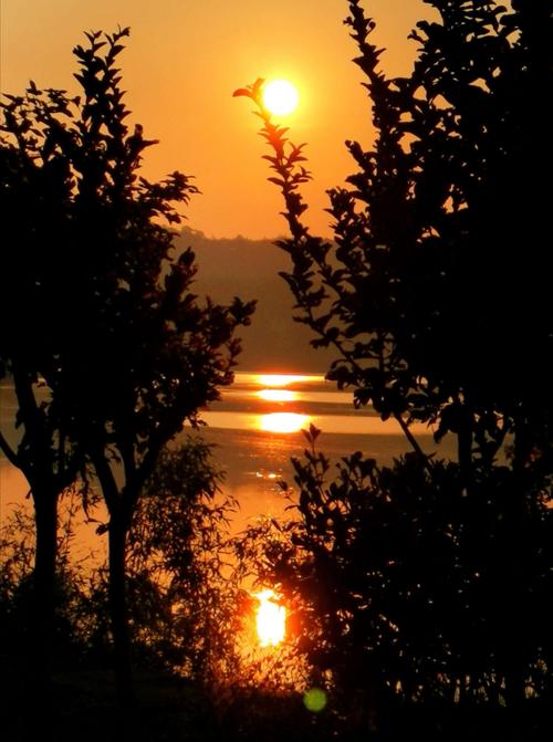 手机拍摄:金湖夕阳红