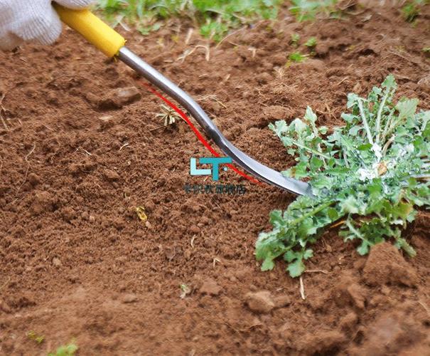 种菜神器工具挖野菜的小铲子神器挖蒜铲子挖土园艺种菜除草工具挖菜铲