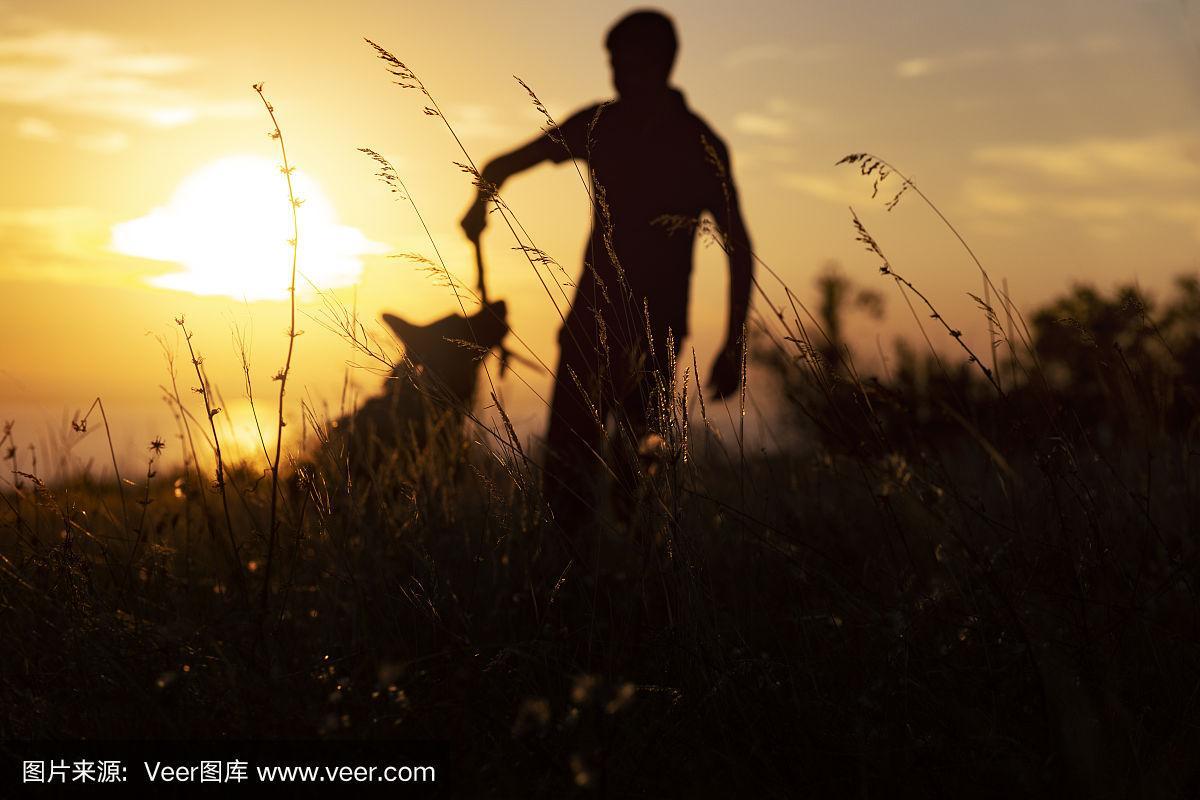 模糊的剪影一个年轻人与狗在田野在日落的自然