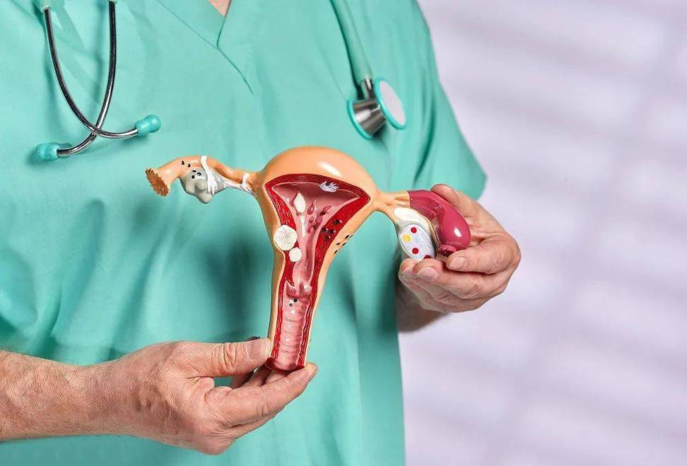 阴道b超是发现各种妇科问题的有力武器,而阴道镜则是专注发现宫颈癌的
