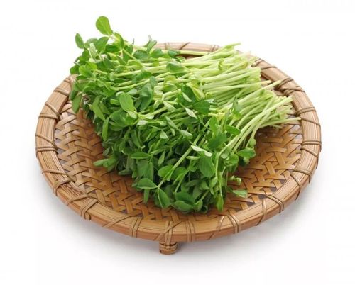 (图源:图虫)豌豆苗是指豌豆初生状态的芽具有很高的营养价值其中胡