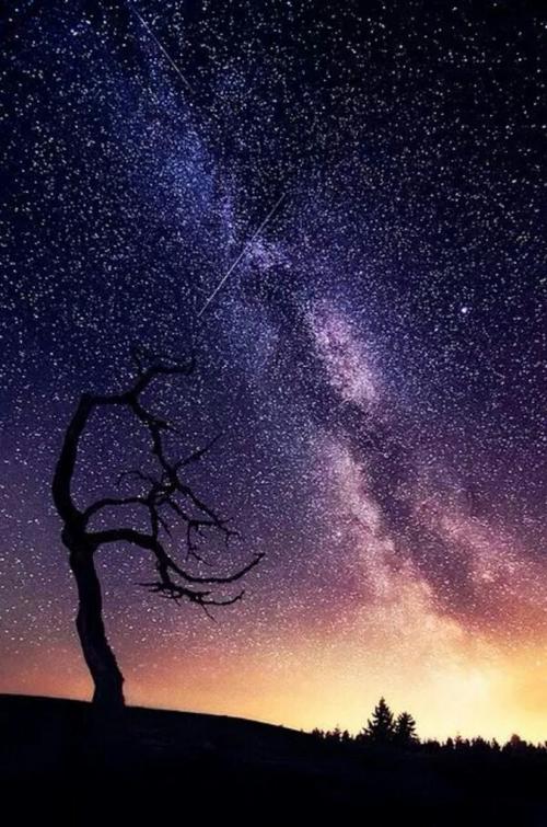 星轨图——我们是天上的星星,在天空相遇又分离.