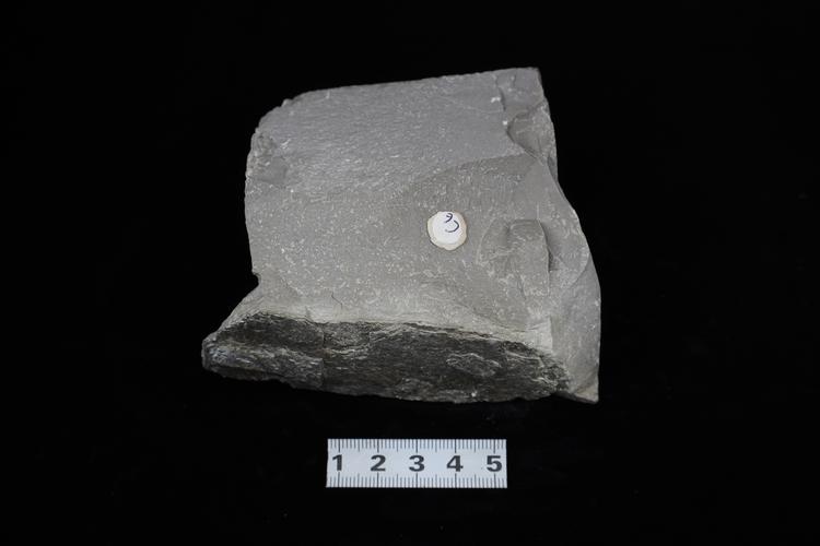00939资源名称:沉积岩-白云岩英文名称:dolomite类    别:岩石标本库