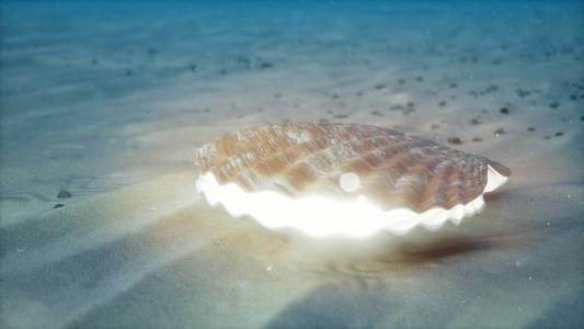 封闭的贝壳在水下自发光.海底沙质海床上的牡蛎和珍珠.