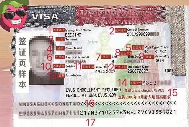 签证常识|美国签证页图解|护照|申请者|签发日期_网易订阅