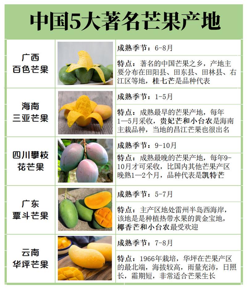 中国5大知名芒果产地,水果爱好者建议收藏91 92每年夏季是芒果