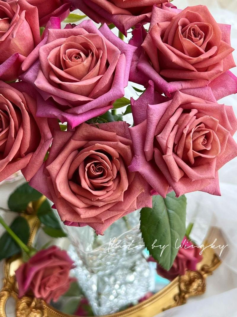 复古色系调香师玫瑰 由于品种原因这款花的枝条都是偏细的,花头也比较