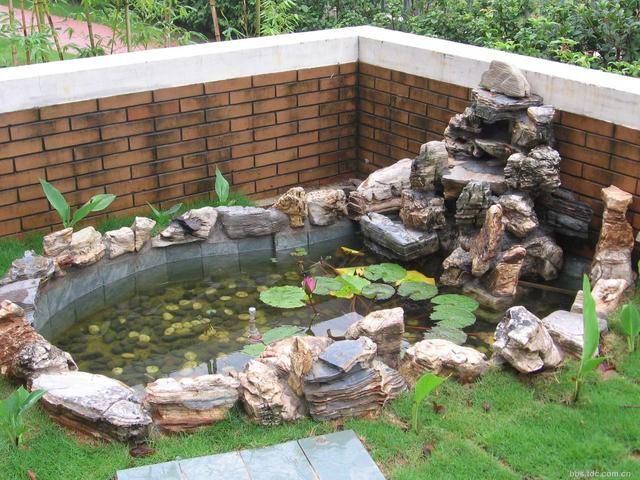 家中院子像这样来设计鱼池,往下三代都能大富大贵