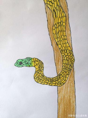 关于蛇上树的简笔画