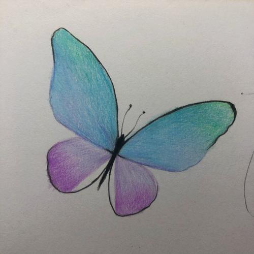 怎么画蝴蝶 ?零基础彩铅,一只蝴蝶的画法