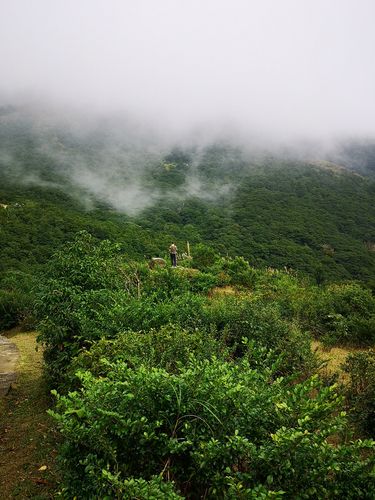大帽山风景拍摄地香港