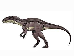 巨齿龙(megalosaurus)