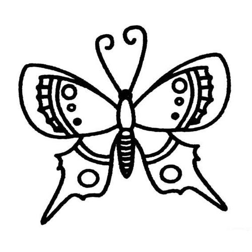 美丽的蝴蝶简笔画画法