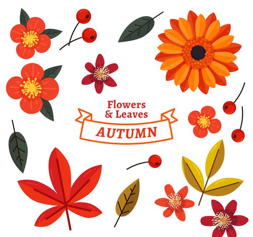 16款彩色秋季花卉和叶子矢量图