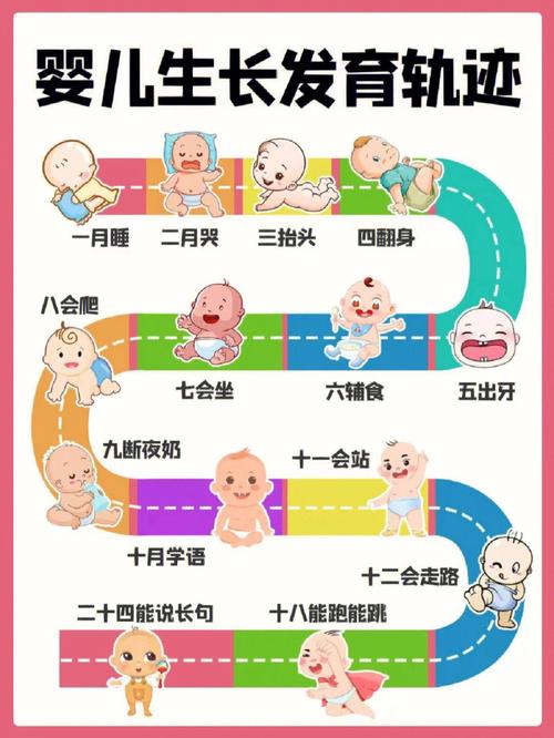 0-12个月宝宝成长发育进阶表