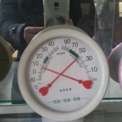 温湿度计 指针式工业 室内家用婴儿房温湿度表 干湿温度计 温湿表