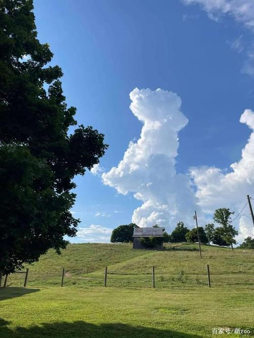 网友偶然抬头,发现天上有片狗狗形状的云彩,那造型真是惟妙惟肖