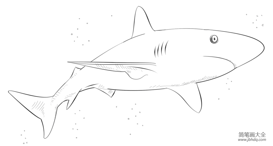 我想画鲨鱼简笔画我喜欢炸鱼点给画