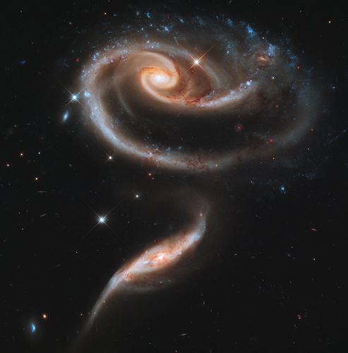 这两个独特的玫瑰状形状的两个星系是由它下面的一个引力所引起的.