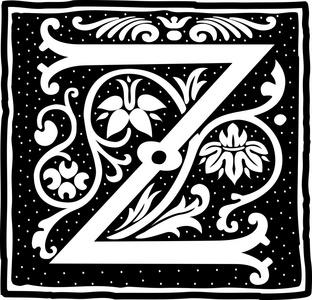 英语字母表的花朵装饰,单色字母 z照片