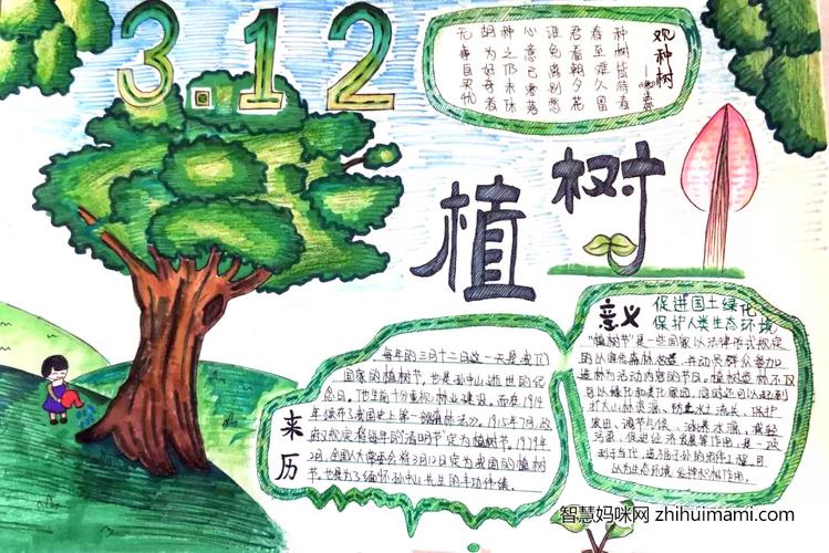 四年级312植树节手抄报绘画作品13张