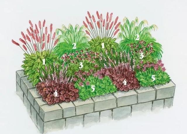 32款花园手绘,让笔尖勾画花园灵感!|设计师|视觉_网易订阅