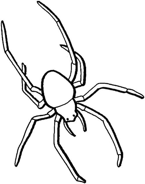蜘蛛简笔画蜘蛛简笔画内容包含相关昆虫简笔画栏目里的 蜘蛛简笔画