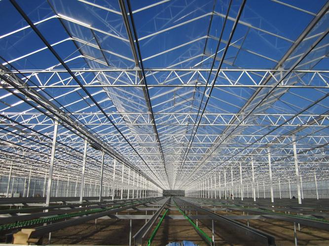 花卉温室工程-山东创新型的温室大棚-青州市大利农业科技有限公司