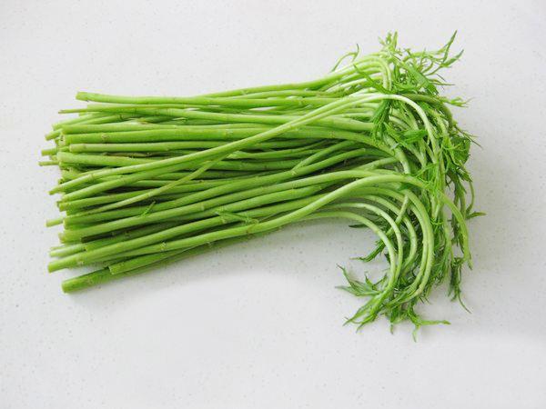 藜蒿是什么季节的蔬菜 是发物吗