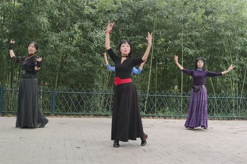 紫竹院广场舞梁祝杜老师领舞动作优美大方