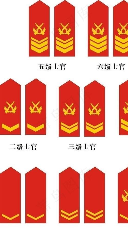 中国人民解放军武警士官常服肩章图片cdr矢量模版下载 - 菜鸟图库