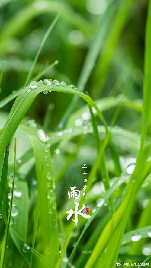 【二十四节气61雨水】  雨润草木生机动  东风送暖杏花红    #雨水